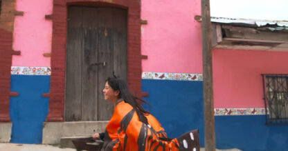 Wildlife Film Festival - Butterfly Journey - Afbeelding 4