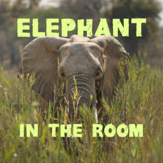 Film Elephant in the room voor Wildlife Film Festival Rotterdam Lokaal in Theater in de Lugt in Rotterdam